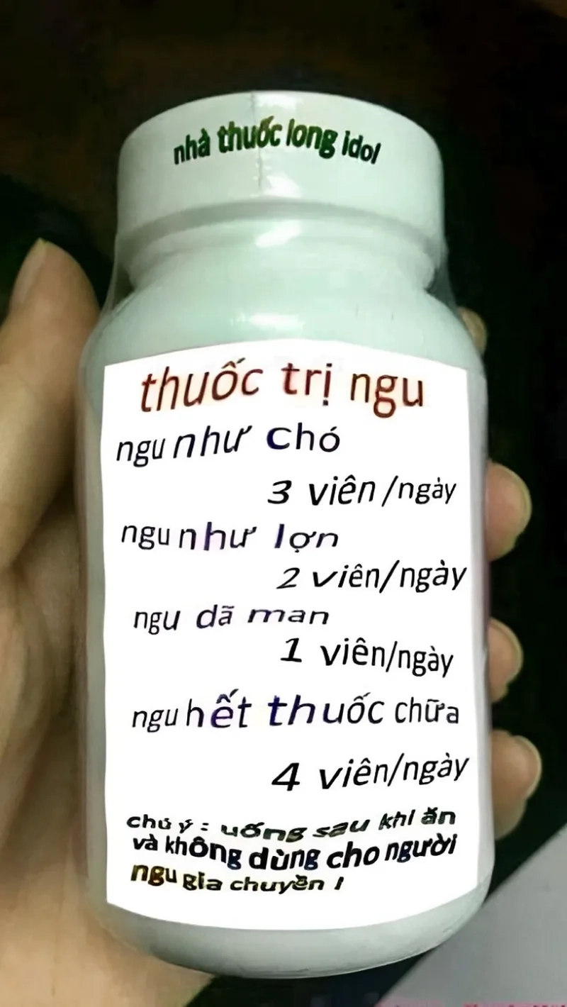 Meme giả ngu là sự thể hiện ngớ ngẩn cực kỳ hài hước khiến người xem phải bật cười.