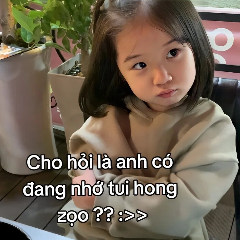 Ảnh meme tình yêu là cách thú vị để thể hiện tình cảm lãng mạn.