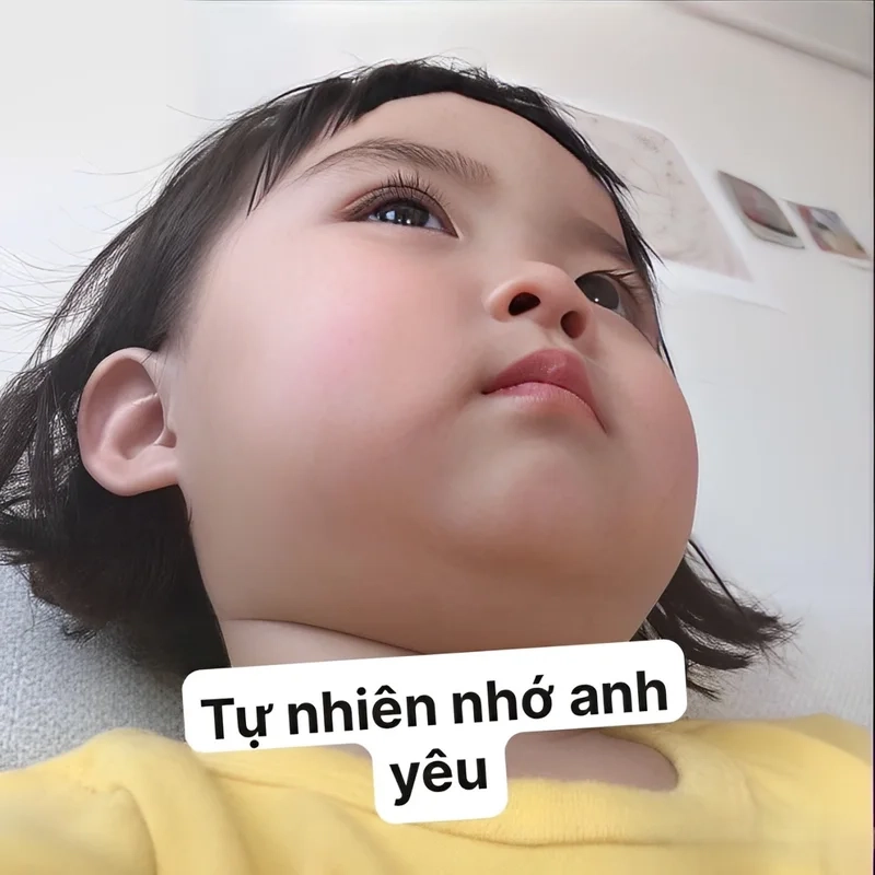 Meme dỗ người yêu thật đáng yêu, giúp làm dịu trái tim trong mọi hoàn cảnh.