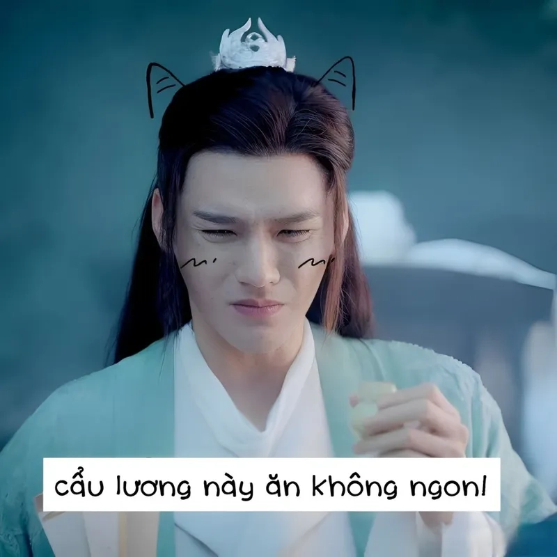 Meme panda Trung Quốc mang lại những khoảnh khắc đáng yêu, khiến bạn phải yêu mến.