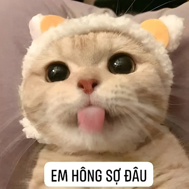 Không sợ không sợ meme thể hiện sự ngạo nghễ vượt qua nỗi sợ hãi.