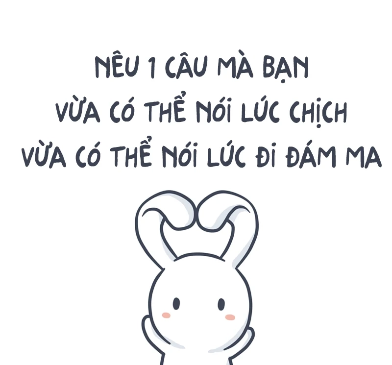 Meme đầu gấu thỏ snowball cực kỳ hài hước và độc đáo.