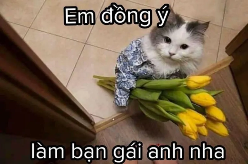 Dễ thương và đáng yêu, meme hình ảnh tỏ tình crush cute sẽ không thể nào quên.