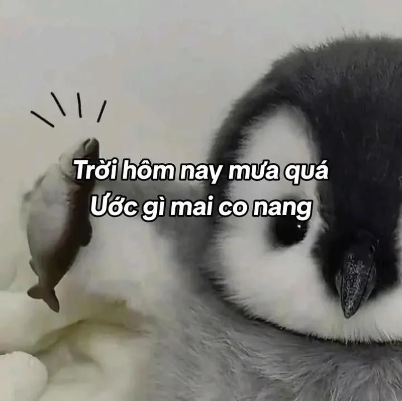 Tỏ tình crush bằng meme dễ thương sẽ khiến trái tim của đối phương 