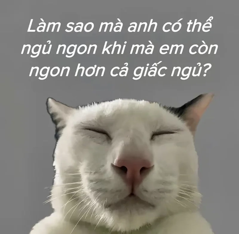 Tỏ tình meme cực dễ thương khiến mọi người cảm thấy bạn thật sự nghiêm túc nhưng lại vô cùng đáng yêu!