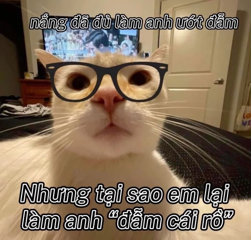 Ảnh meme tỏ tình crush giúp bạn thể hiện tình cảm một cách dễ thương và độc đáo nhất!