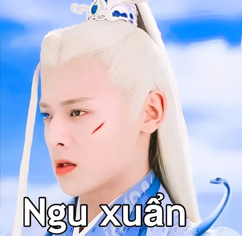 Mặt meme Trung Quốc với những biểu cảm hài hước, làm bạn không thể nhịn cười.