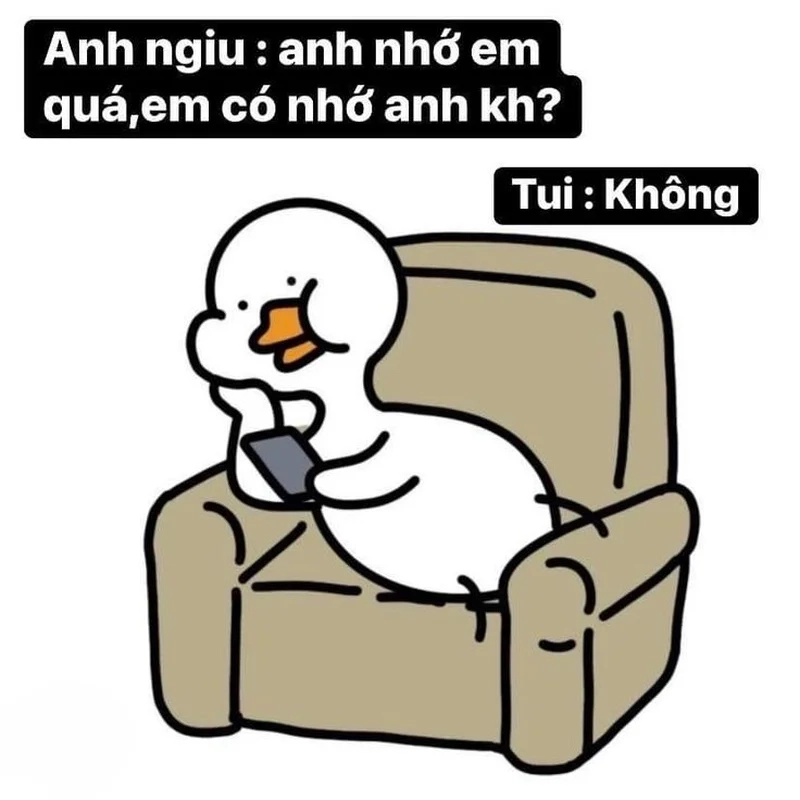 Ảnh vịt meme khiến cuộc trò chuyện thêm thú vị và vui nhộn.