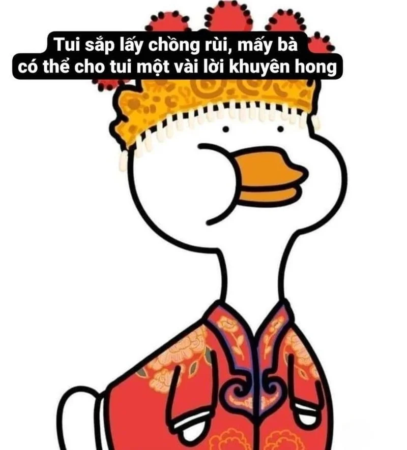 Ảnh meme vịt siêu đáng yêu và hài hước dành cho bạn.