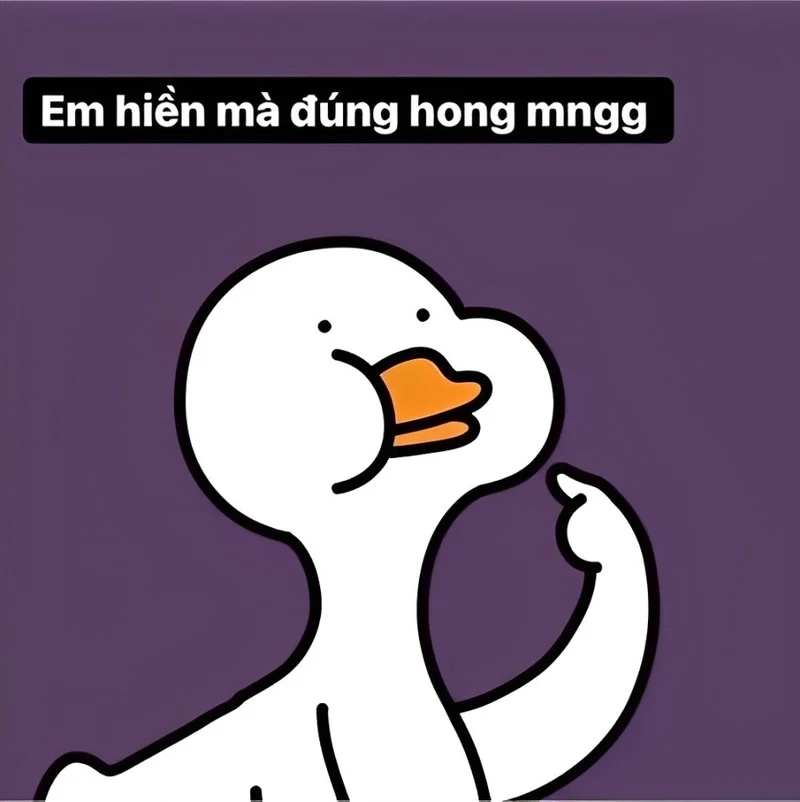 Avatar vịt meme là điểm nhấn thú vị cho mọi tài khoản mạng xã hội.