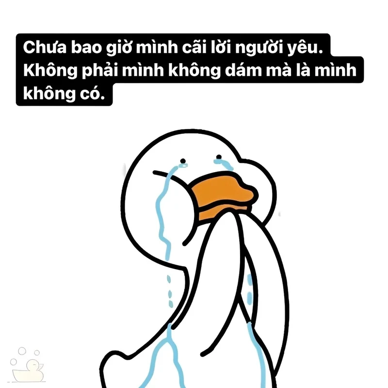 Meme vịt donald là lựa chọn hoàn hảo cho mọi cuộc trò chuyện vui nhộn.