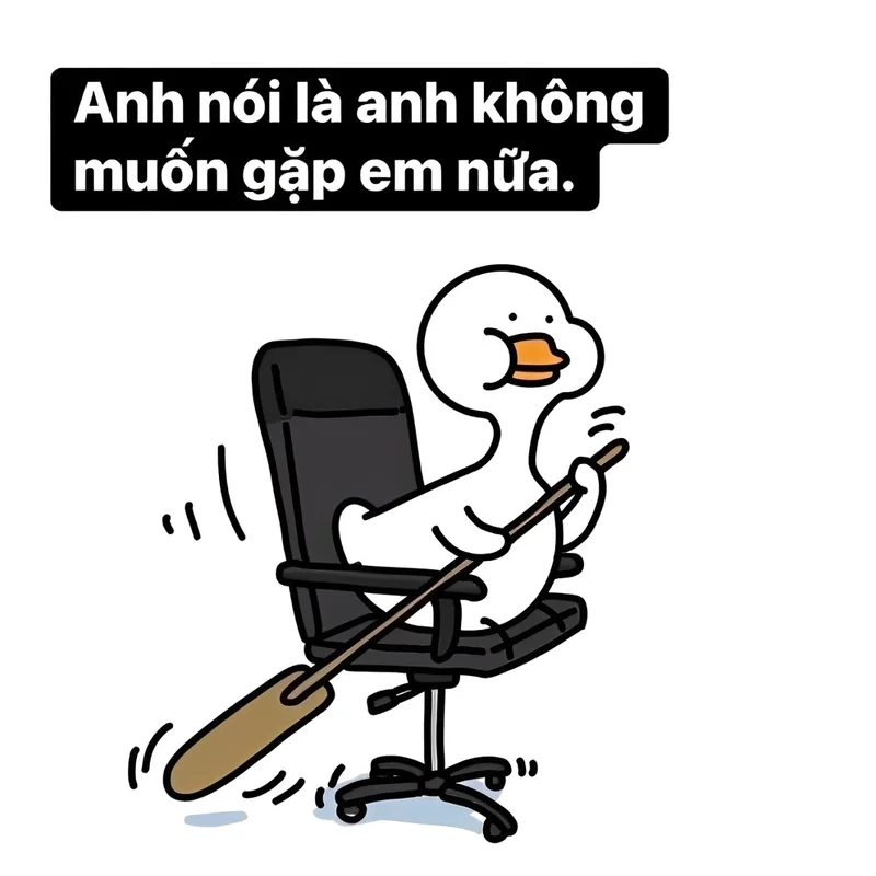 Hình vịt meme ngộ nghĩnh khiến ai cũng phải chú ý.