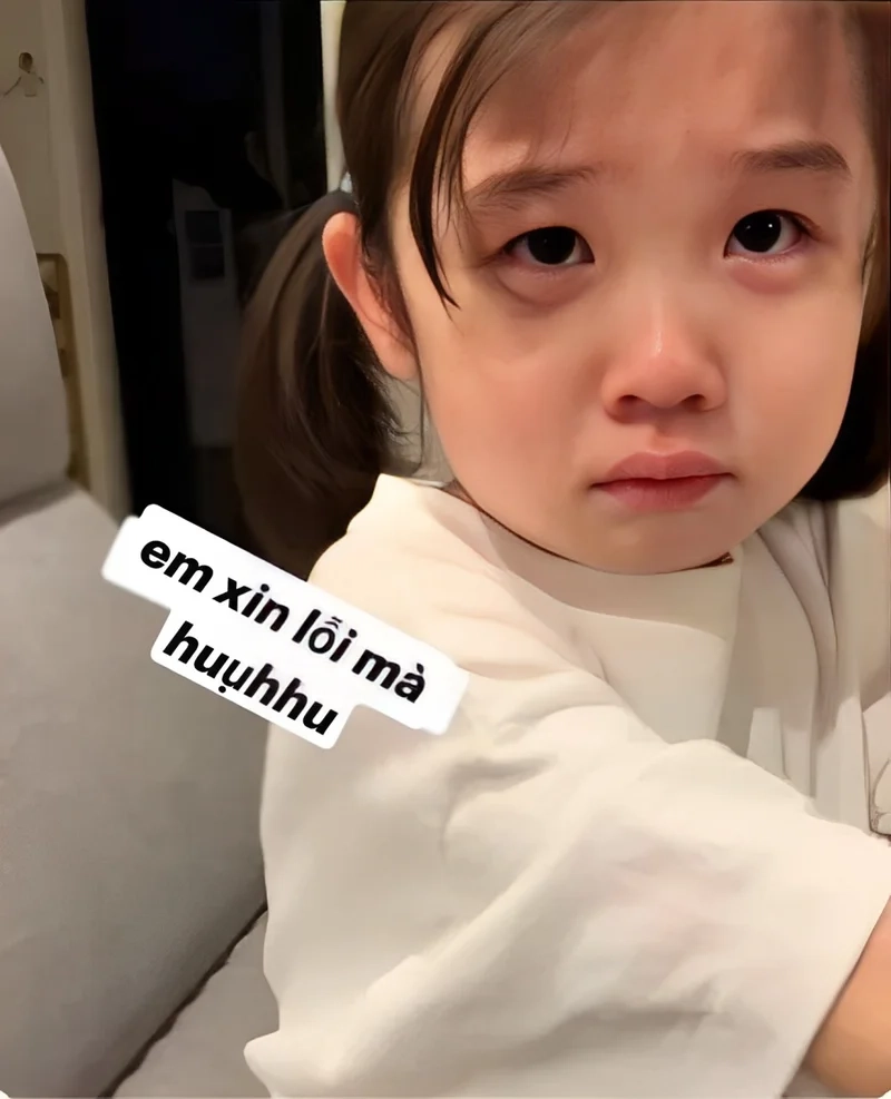 Meme xin lỗi đơn giản nhưng đầy cảm xúc, liệu có đủ để hàn gắn mọi thứ?