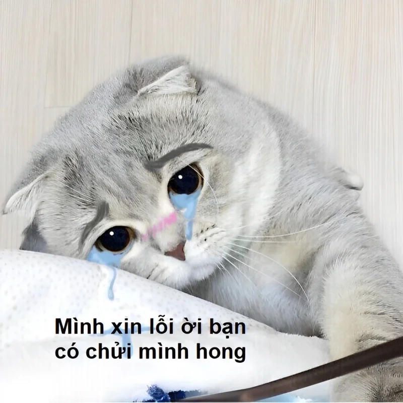 Meme “Em xin lỗi” dễ thương như thế này thì ai có thể từ chối được?