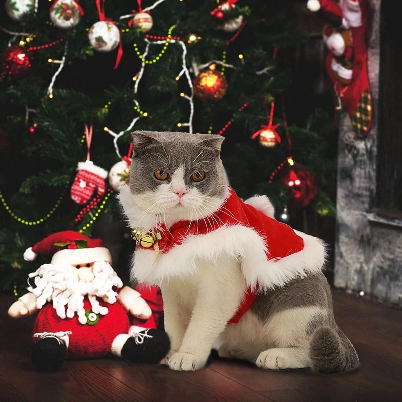 Meme mèo Noel cute khiến bạn không thể rời mắt, đầy vui nhộn và ấm áp.