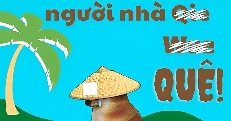 Mèo ngại meme là sự kết hợp hoàn hảo của sự dễ thương và hài hước, khiến ai cũng phải cười.