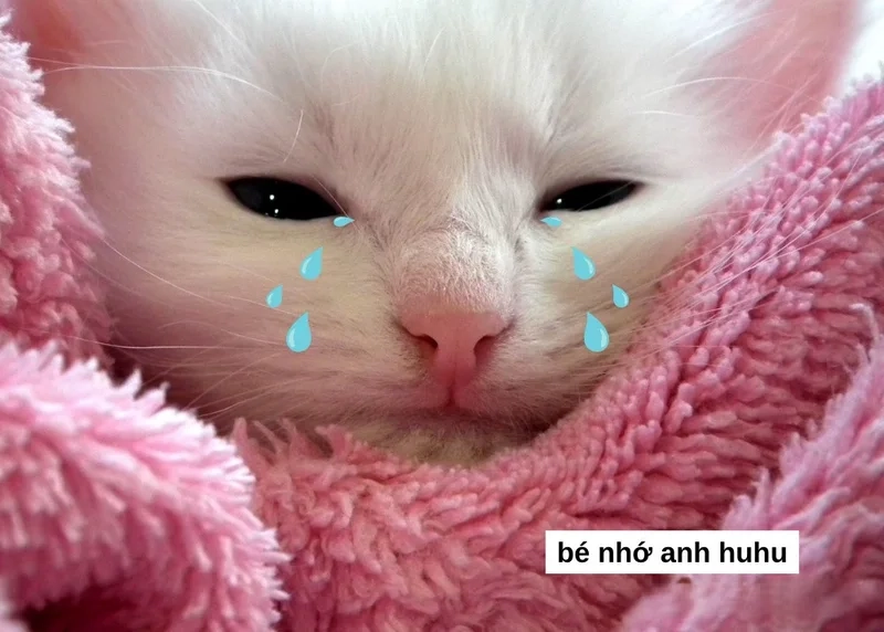 Meme nhớ bạn thể hiện tình bạn ngọt ngào, dễ thương và đầy cảm xúc.