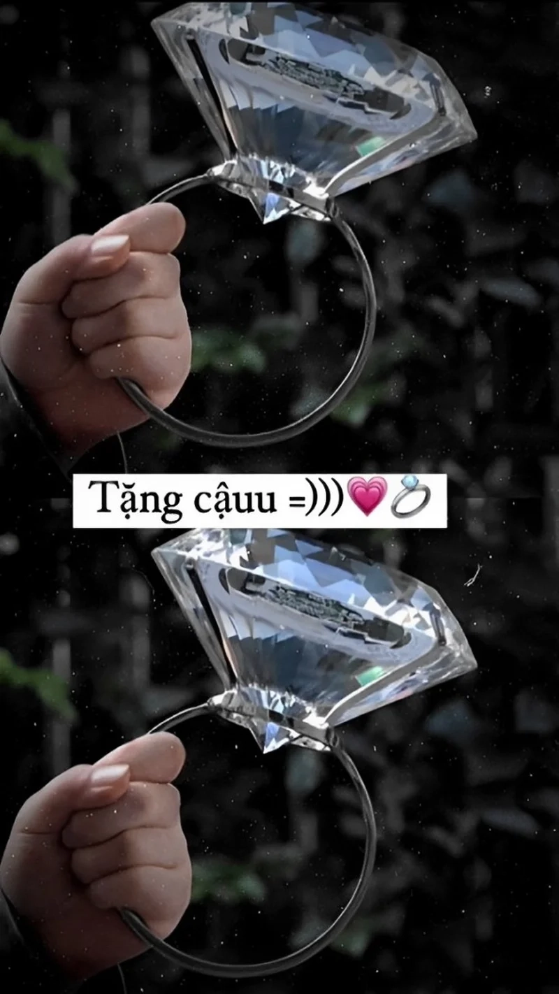 Meme mèo tặng quà là cách tuyệt vời để gửi đi những thông điệp yêu thương.