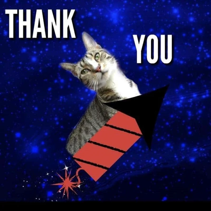 Meme cat thank you luôn là lựa chọn hoàn hảo để thể hiện sự cảm ơn dễ thương.