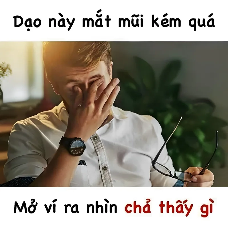 Ảnh meme xin tiền không chỉ có hài hước mà còn đầy tính sáng tạo.