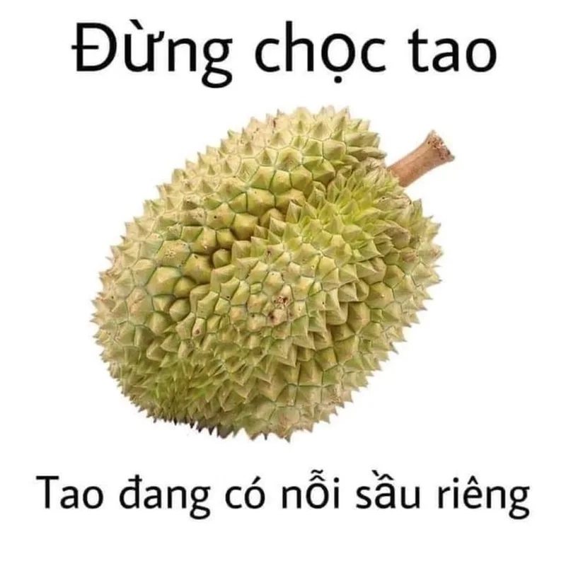 Meme bực tức mang đến cảm xúc giận dữ được thể hiện một cách đầy hài hước và sáng tạo.