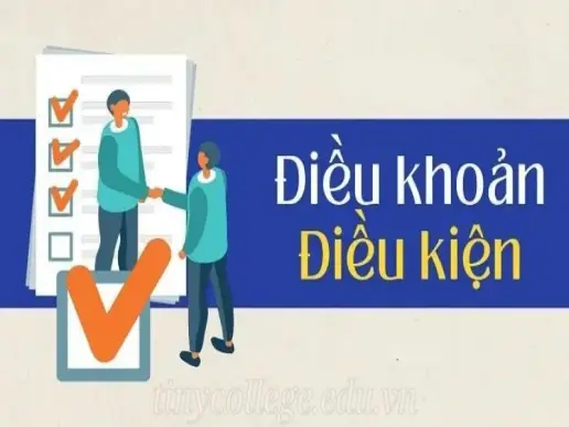 Điều khoản và điều kiện