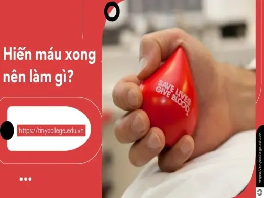 Hiến máu xong nên làm gì? Hướng dẫn chi tiết sau khi hiến