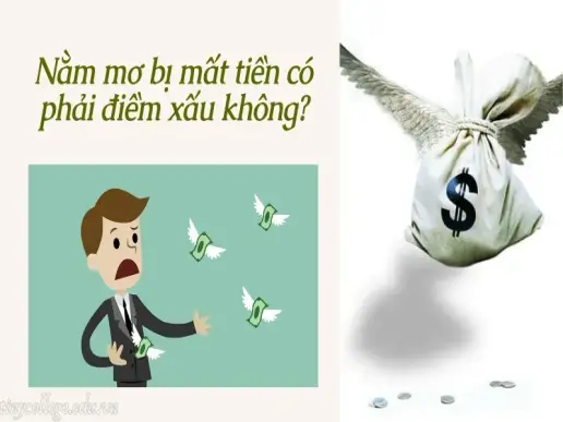 Nằm mơ bị mất tiền liệu có phải điềm xấu không?