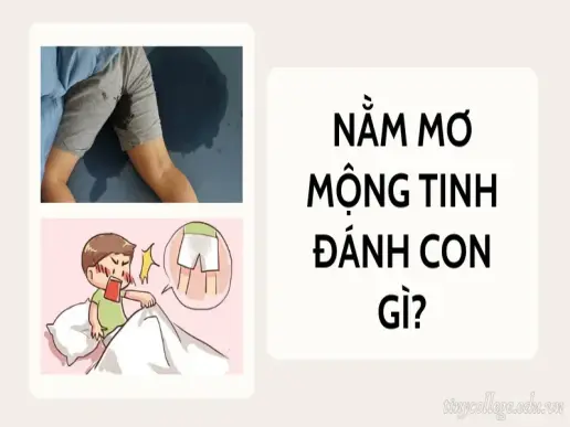 Nằm mơ mộng tinh đánh con gì để gặp may mắn phát tài?