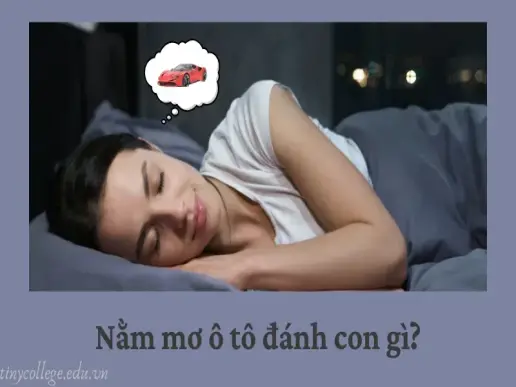 Nằm mơ ô tô đánh con gì? Giải mã giấc mơ lô đề