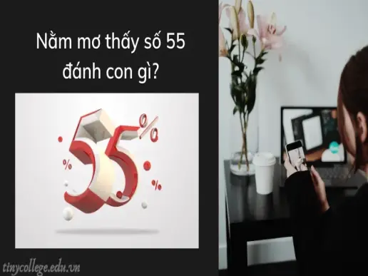 Nằm mơ thấy số 55 đánh con gì? Đánh số nào chuẩn nhất