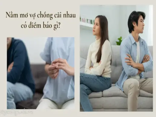 Nằm mơ vợ chồng cãi nhau là lời nhắc về hôn nhân?