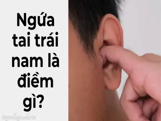 Ngứa tai trái nam là điềm gì? Báo hiệu gì về tương lai?