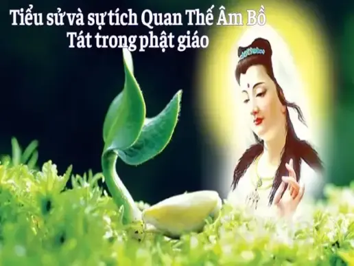 Tiểu sử và sự tích Quan Thế Âm Bồ Tát trong phật giáo