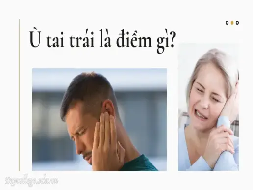 Ù tai trái là điềm gì? Dấu hiệu báo trước điều gì?