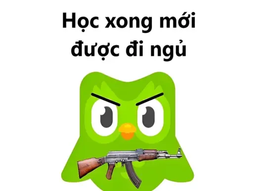 Top ảnh meme đi ngủ troll bạn bè siêu hài hước