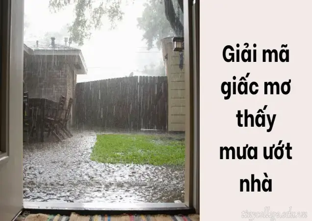 Điều lành hay dữ khi nằm mơ thấy mưa ướt nhà?