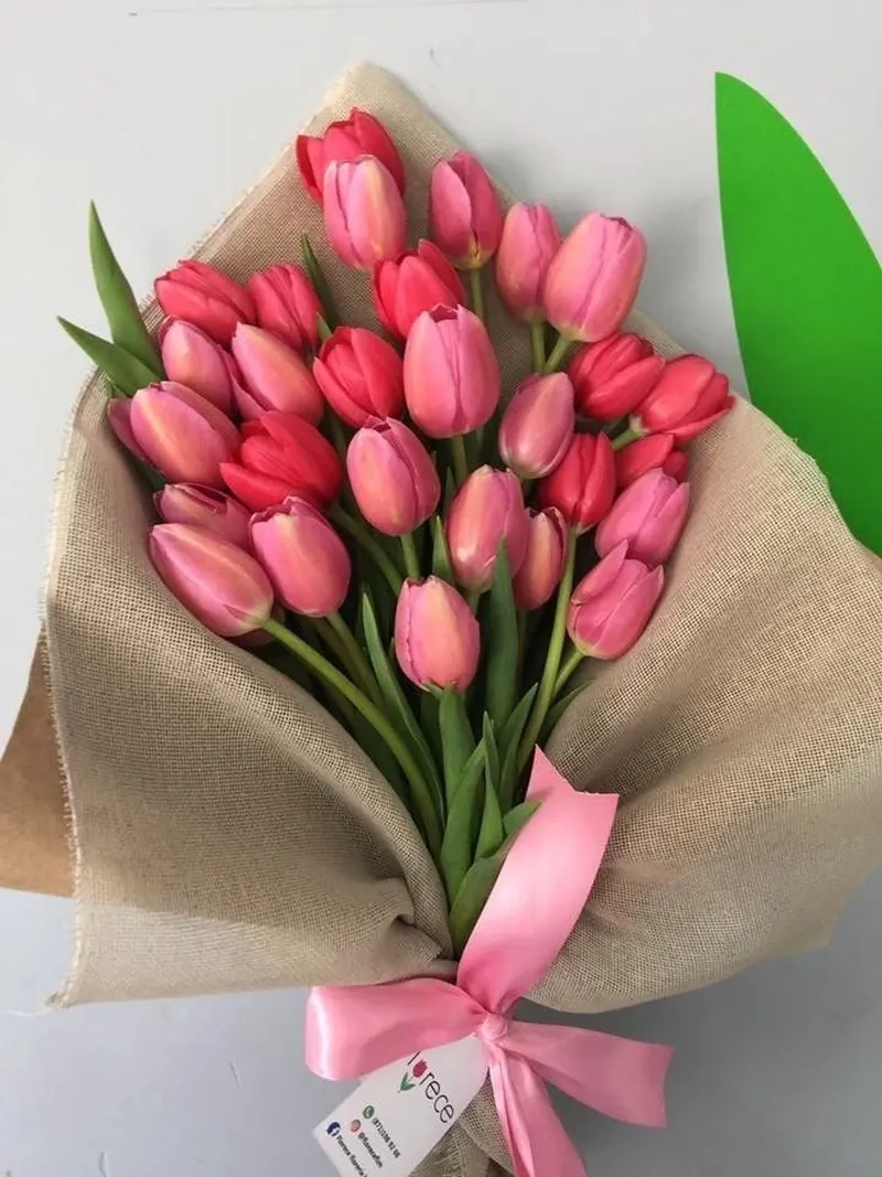 Tận hưởng khoảnh khắc ảnh hoa tulip đẹp đầy sắc màu