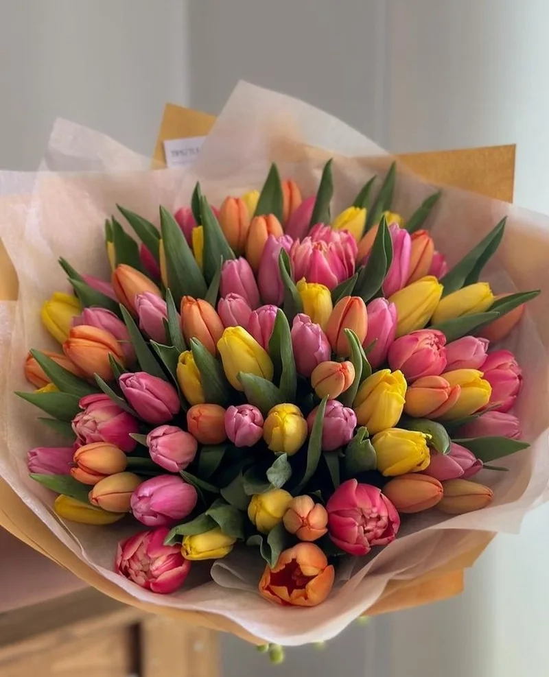 Khám phá hình ảnh hoa tulip rực rỡ, tinh tế