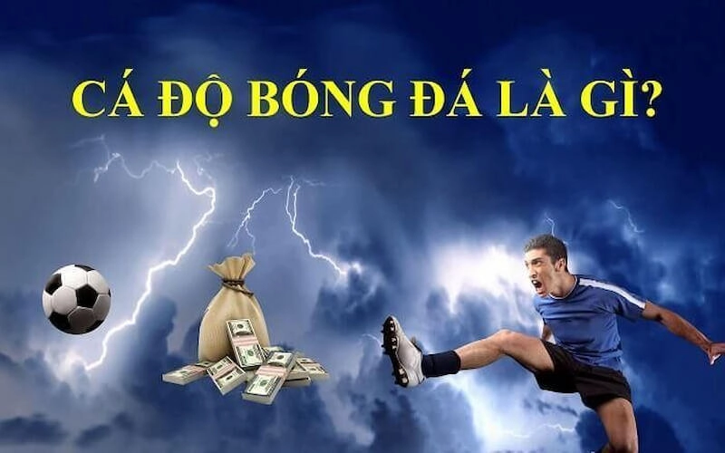 Chia sẻ kinh nghiệm về cá độ bóng đá cho tất cả mọi người