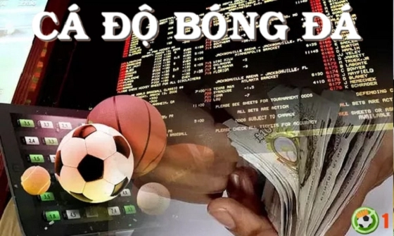 Cá độ bóng đá online và các hình thức thanh toán qua thẻ