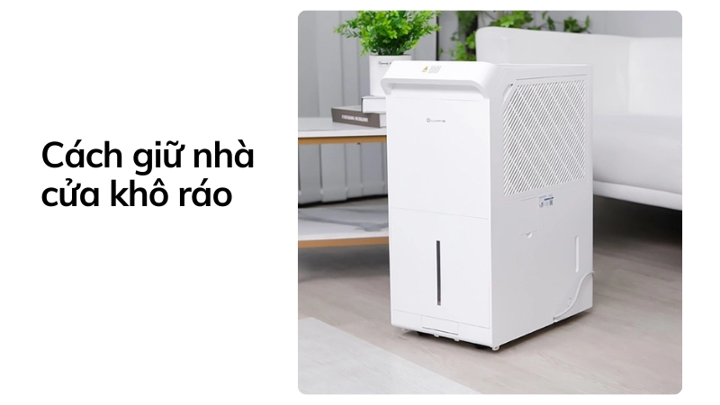 Máy hút ẩm gia đình là mẹo chống ẩm mốc mùa mưa tối ưu
