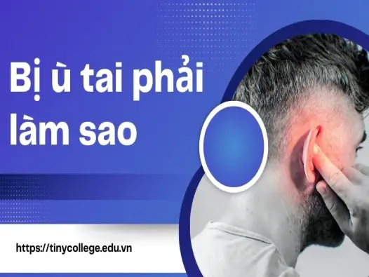 Bị ù tai phải làm sao? Những lời khuyên từ chuyên gia