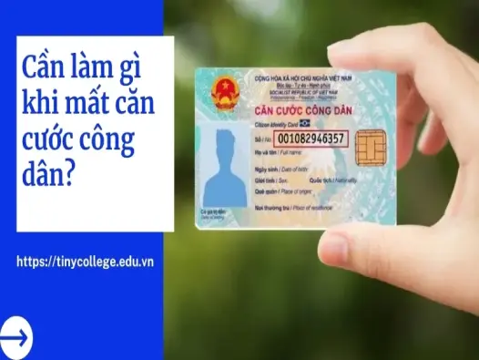 Khi mất căn cước công dân cần làm gì? Hướng dẫn chi tiết