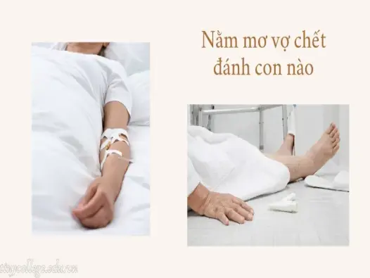 Nằm mơ vợ chết là điềm lành hay dữ trong cuộc sống?