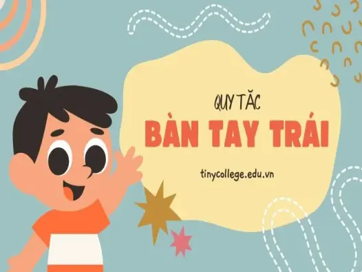 Quy tắc bàn tay trái: Định nghĩa, cách dùng và ứng dụng thực tế