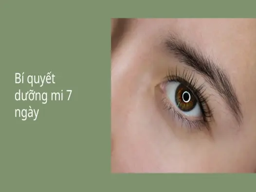 Trải nghiệm cách dưỡng mi dài cong vút chỉ sau một tuần