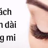 Cách làm dài lông mi an toàn chỉ sau 7 ngày trong 1 tuần