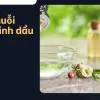 Tôi đã đuổi sạch muỗi khỏi nhà với giá 0 đồng như thế nào
