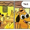 Biểu tượng "This is fine" meme: Nguồn gốc và ý nghĩa vượt thời gian
